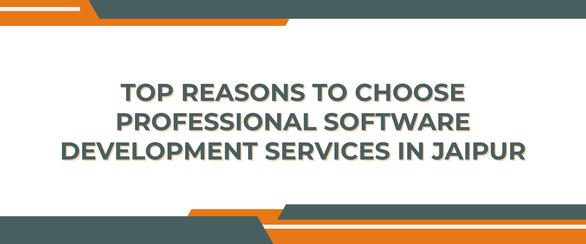 Top Reasons to Choose Professional Software Development Services in Jaipur